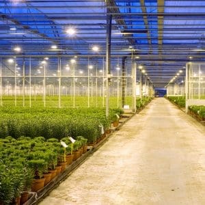 changes to the horticultural industry