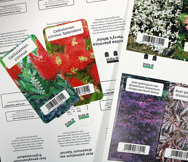 Print your own flower tags